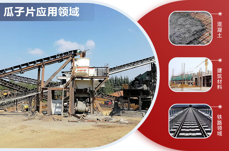 瓜子片應用領域 瓜子片應用領域